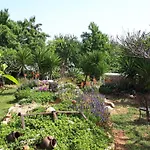 Bed & Breakfast Retiro Da Janela 4*