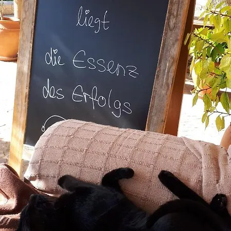 Retiro Da Janela Nocleg ze śniadaniem 4*