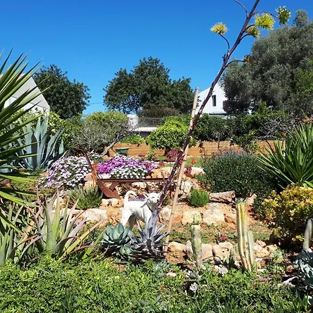 Bed & Breakfast Retiro Da Janela Boliqueime